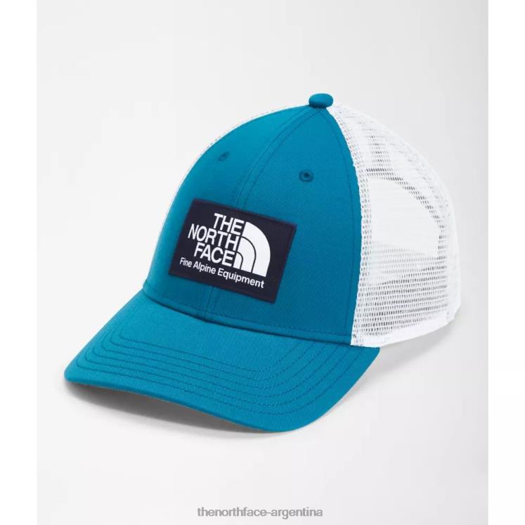 camionero de barro RDT8H3936 azul banff The North Face