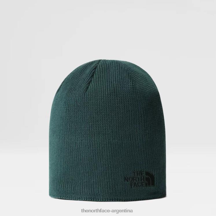 gorro reciclado huesos RDT8H128 verde The North Face