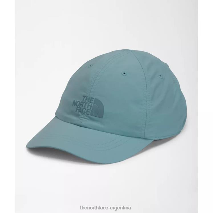sombrero horizonte RDT8H3976 azul The North Face