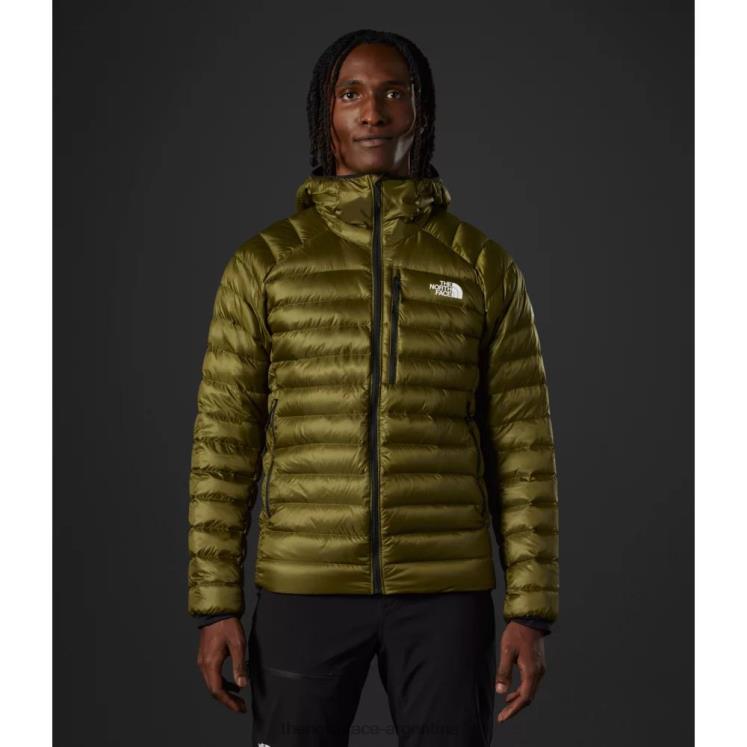 sudadera con capucha breithorn de la serie summit para hombre RDT8H5683 oliva militar The North Face