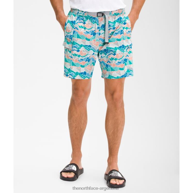 pantalones cortos con cinturón clase v estampados para hombre RDT8H4989 gris The North Face