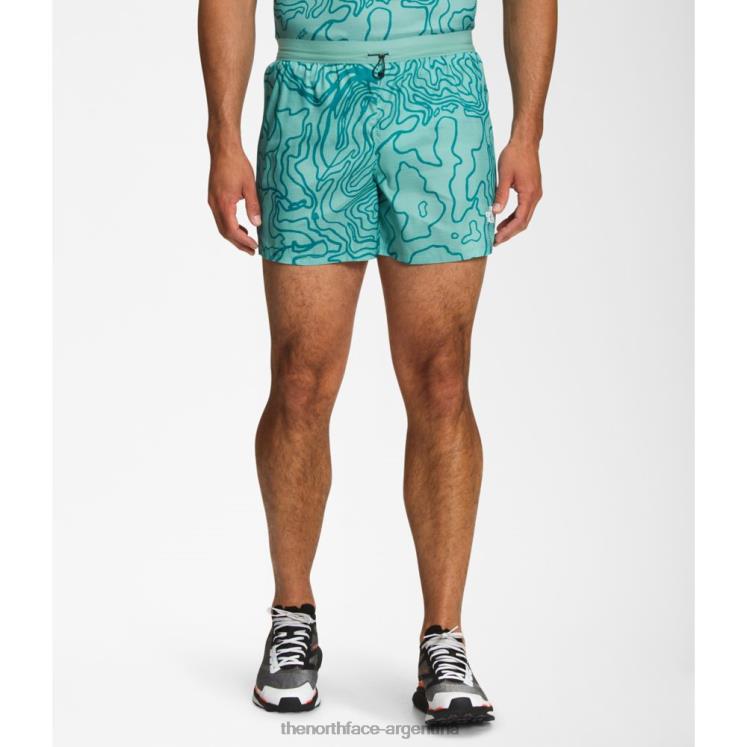 pantalones cortos con estampado amanecer para hombre RDT8H4845 wasabi yosemite The North Face