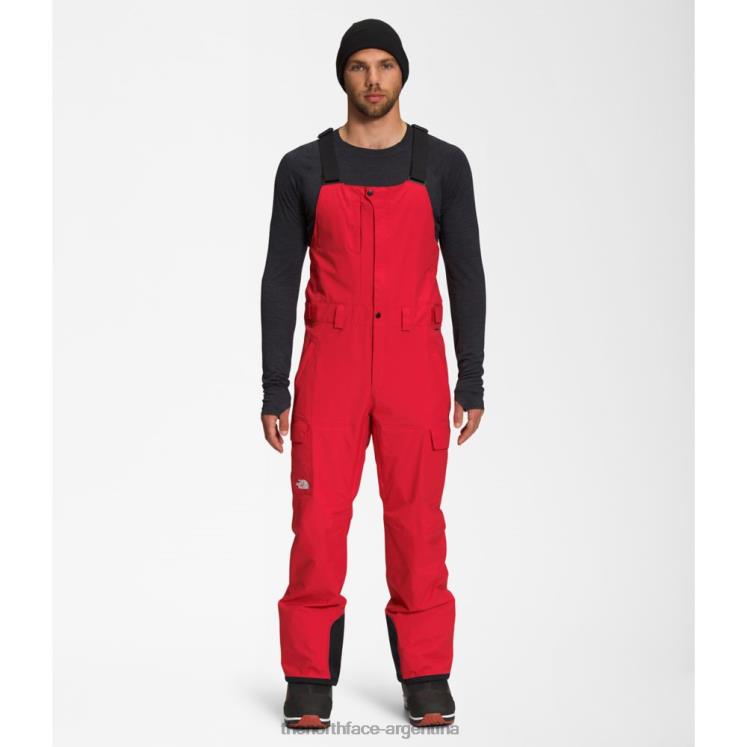 baberos de libertad para hombres RDT8H3877 rojo The North Face