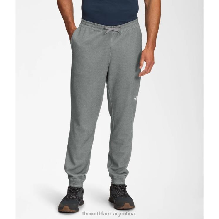 joggers de peso medio de pino grande para hombre RDT8H6185 gris The North Face joggers de peso medio de pino grande para hombre RDT8H6185 gris The North Face