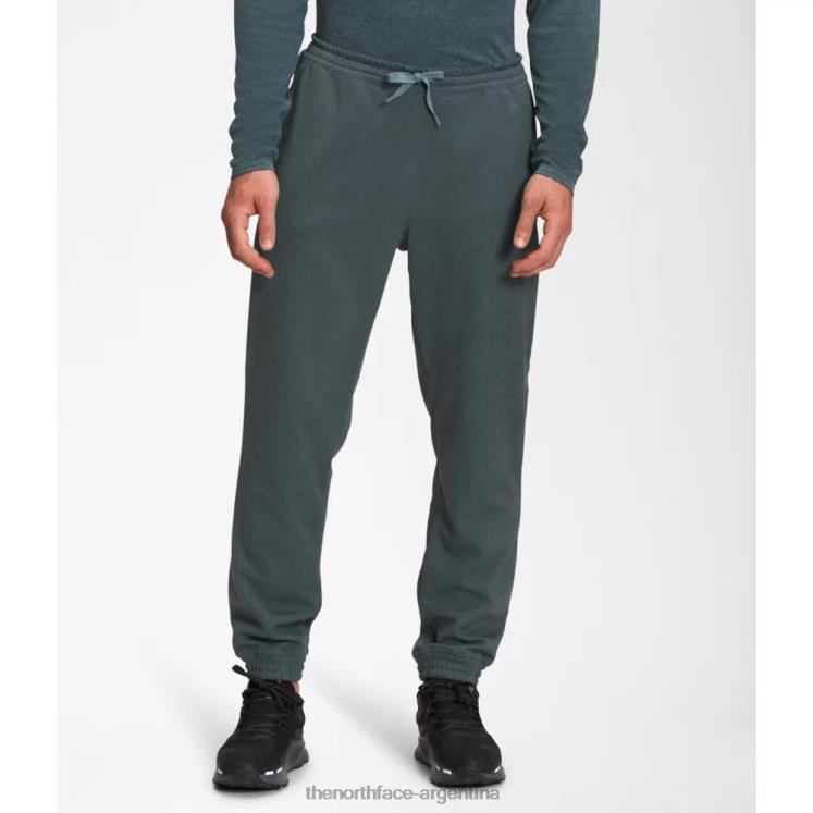 joggers de peso medio de pino grande para hombre RDT8H6186 brezo azul The North Face joggers de peso medio de pino grande para hombre RDT8H6186 brezo azul The North Face