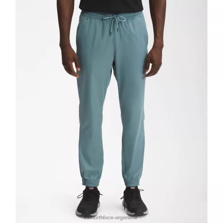 joggers estándar para hombre RDT8H4310 azul The North Face