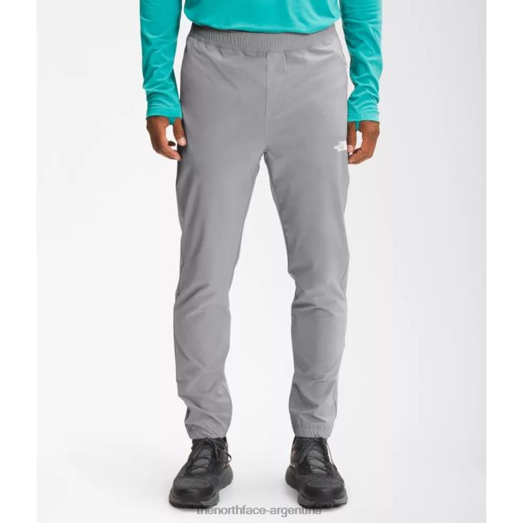 los hombres vagan pantalones RDT8H3507 gris The North Face