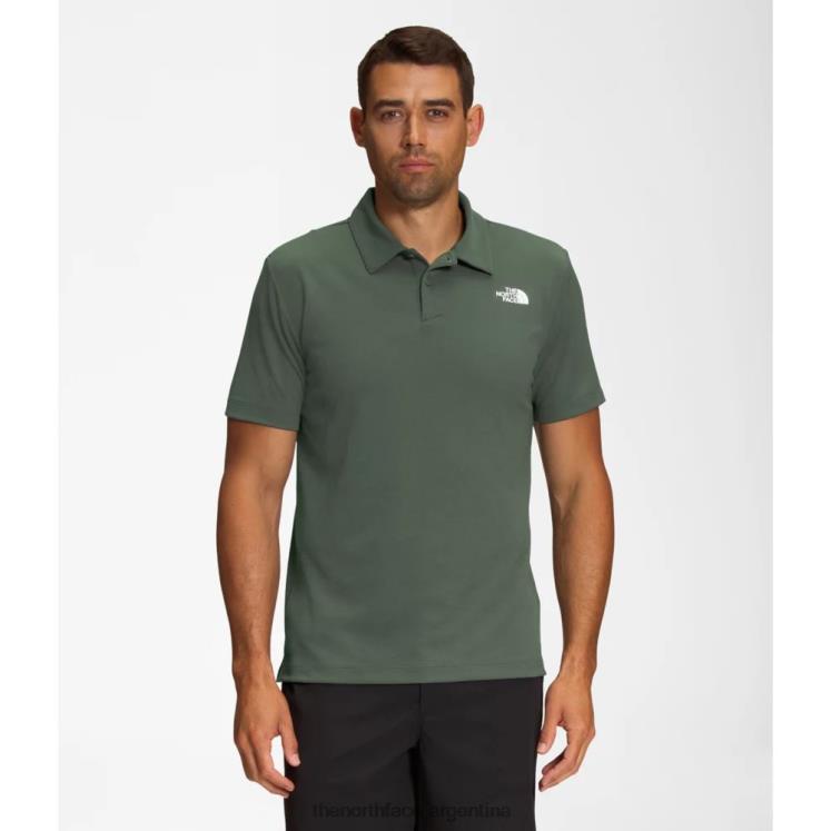 los hombres deambulan por el polo RDT8H4738 tomillo The North Face