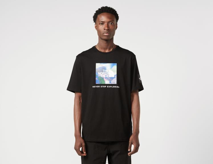 camiseta de caja RDT8H6726 negro The North Face