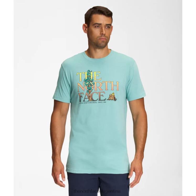 camiseta de manga corta con inyección gráfica para hombre RDT8H5448 wasabi The North Face