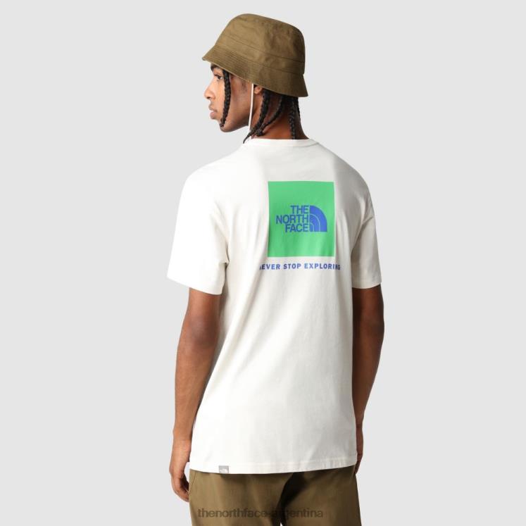 camiseta hombre redbox RDT8H20 mojito verde The North Face