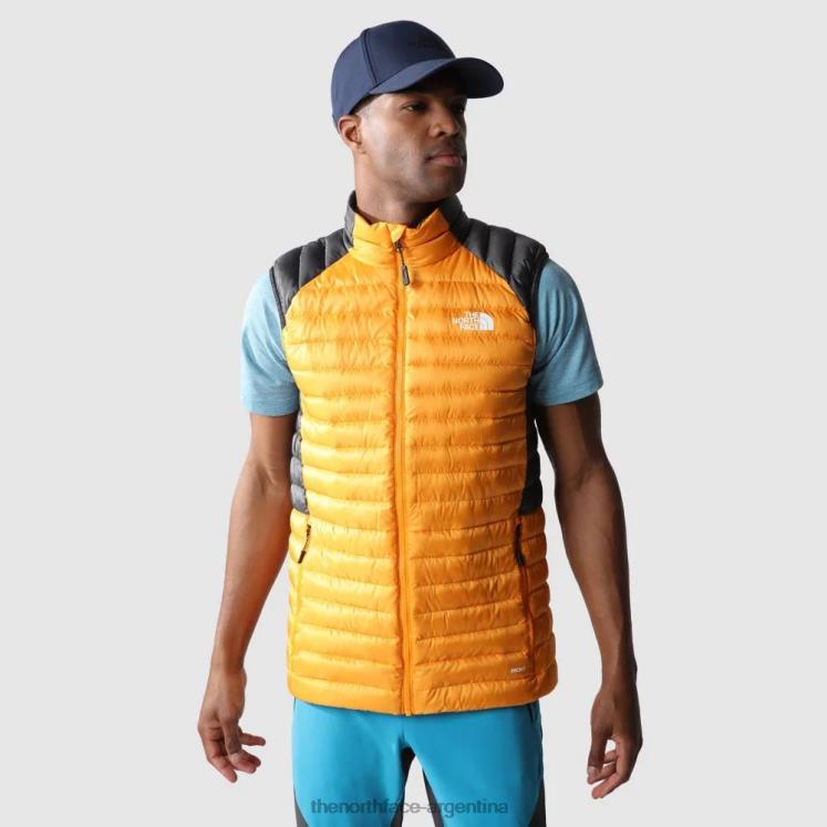 chaleco de plumas bettaforca para hombre RDT8H2095 gris The North Face