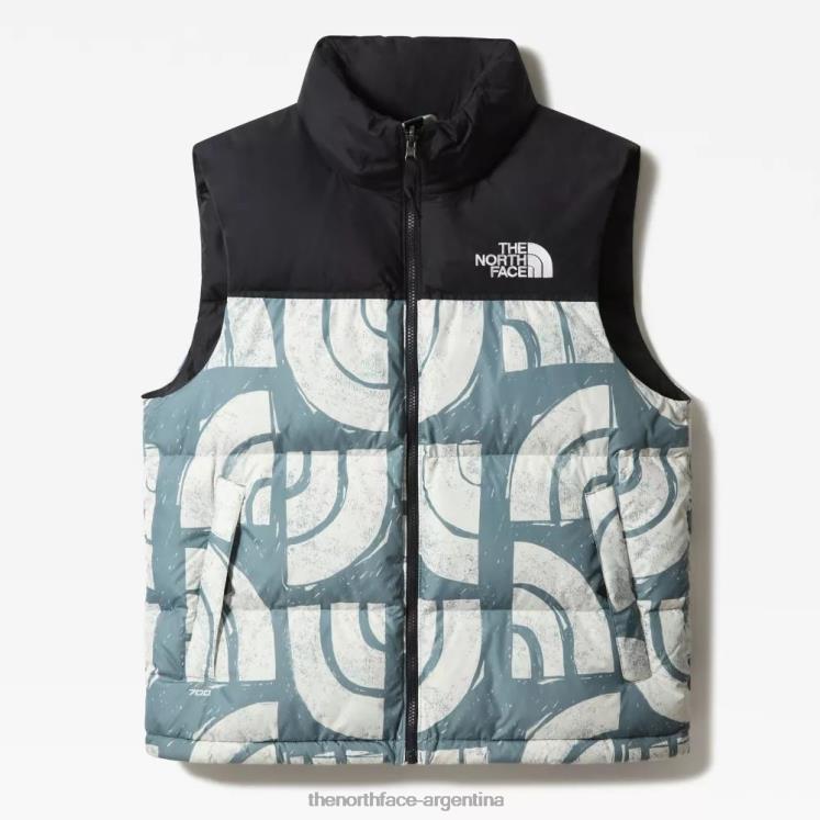 chaleco de plumas con estampado 1996 retro nuptse para hombre RDT8H1260 bloque de madera azul The North Face