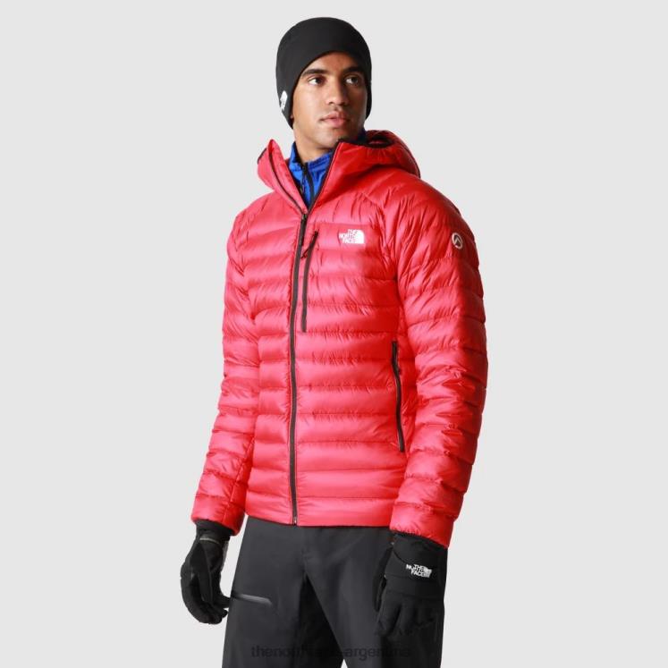 chaqueta de plumas con capucha summit breithorn para hombre RDT8H1726 rojo The North Face