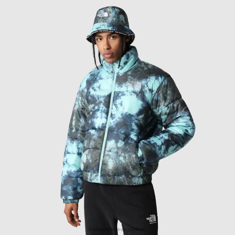 chaqueta hombre 2000 elementos estampados RDT8H1864 hielo de wasabi The North Face