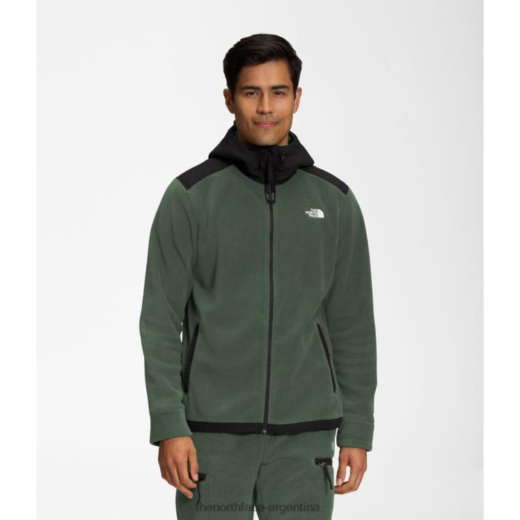 Chaqueta con capucha y cremallera completa Alpine Polartec 200 para hombre, negro tomillo RDT8H5169 tomillo negro The North Face