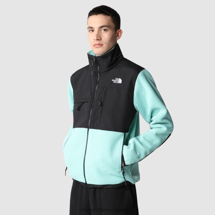 chaqueta denali de los hombres RDT8H1678 wasabi The North Face