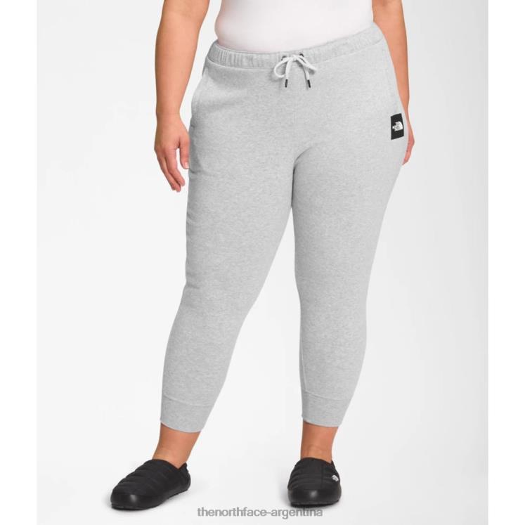 joggers mujer plus box nse RDT8H5815 gris The North Face