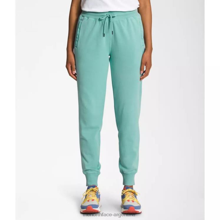 joggers teñidos en prenda para mujer RDT8H5495 wasabi The North Face
