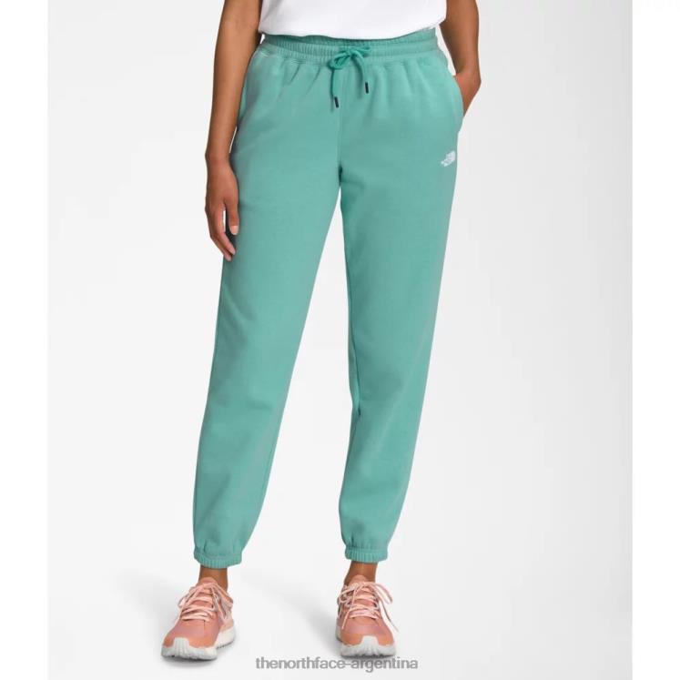 pantalones deportivos de lana de media cúpula para mujer RDT8H5521 wasabi The North Face