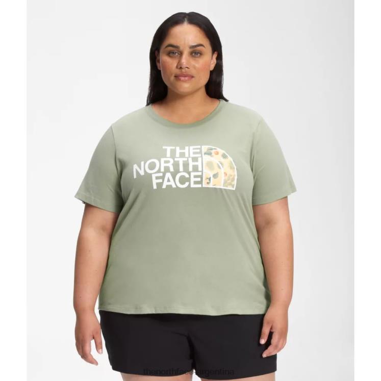 Camiseta de algodón de media cúpula de manga corta para mujer más RDT8H4882 té verde The North Face