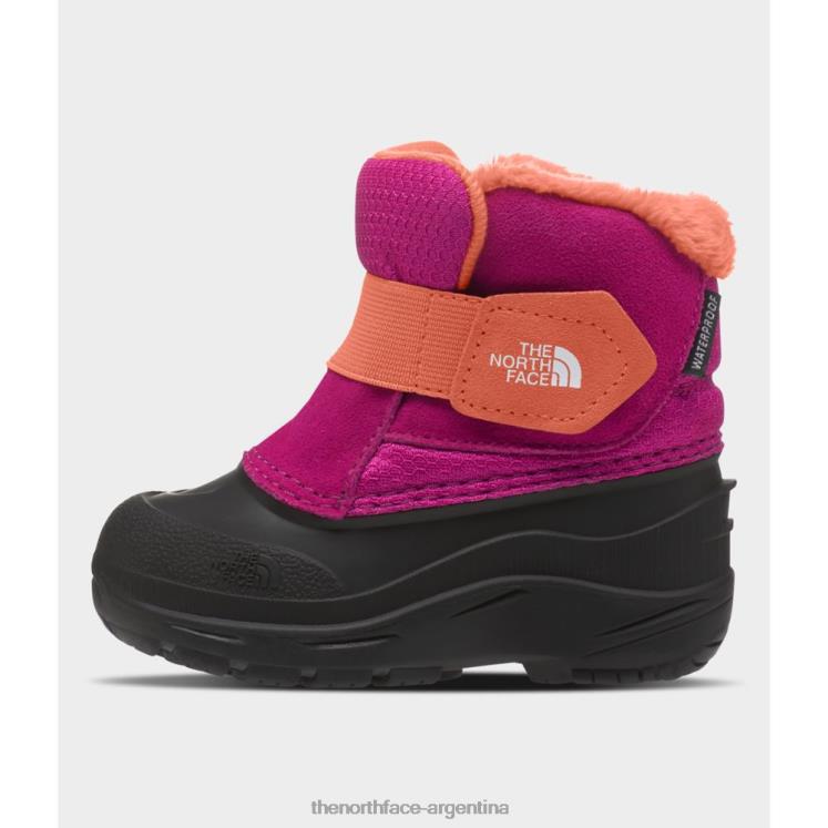 botas alpenglow ii para niño RDT8H3245 rosa fucsia The North Face botas alpenglow ii para niño RDT8H3245 rosa fucsia The North Face