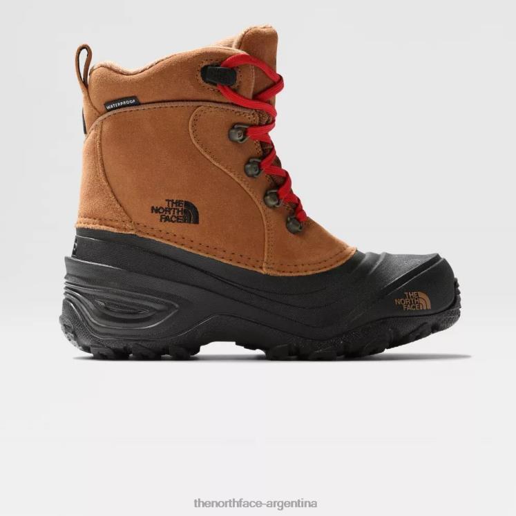botas de montaña chilkat lace ii para adolescentes RDT8H1 marrón tostado The North Face botas de montaña chilkat lace ii para adolescentes RDT8H1 marrón tostado The North Face