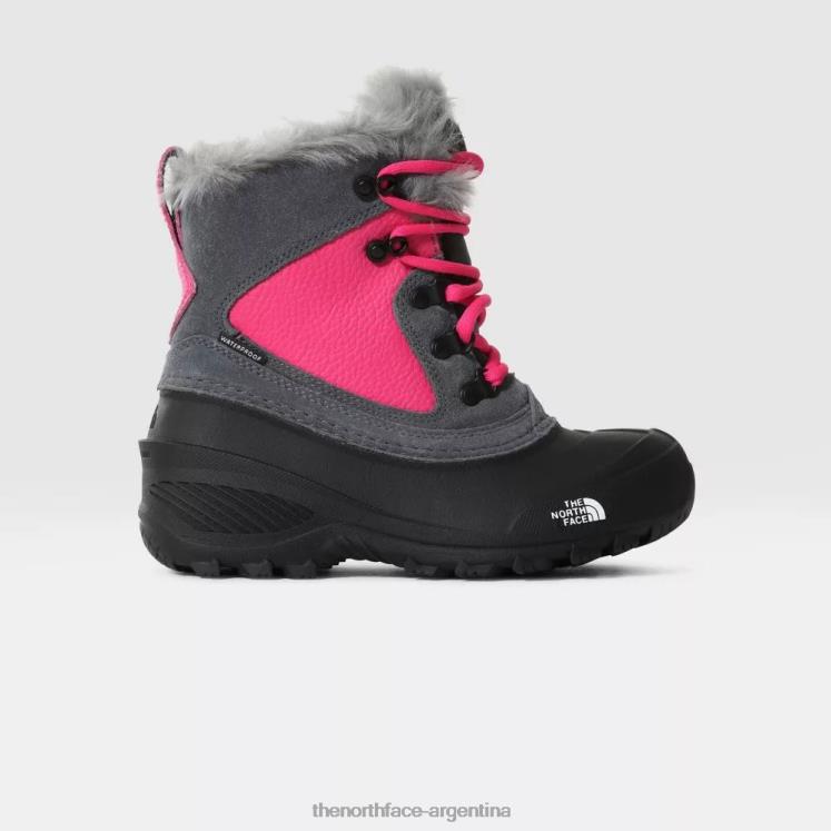 botas de nieve extremas shellista para adolescentes RDT8H3 gris The North Face botas de nieve extremas shellista para adolescentes RDT8H3 gris The North Face