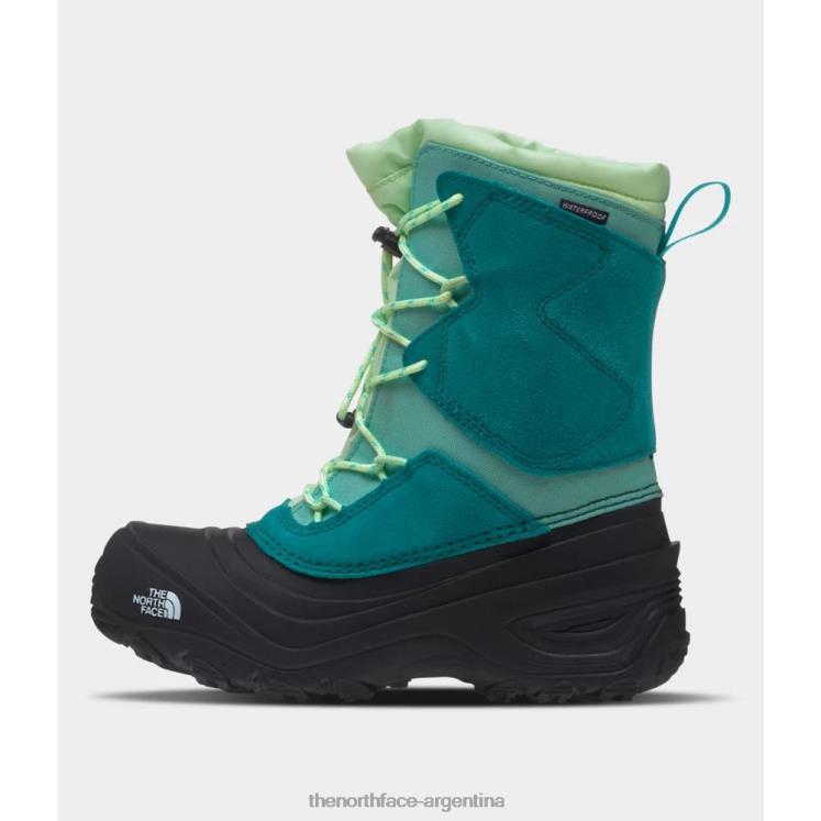 botas impermeables alpenglow v juveniles RDT8H4636 puerto azul The North Face