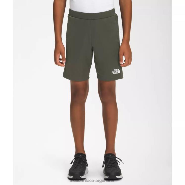 Los chicos nunca paran de tejer shorts de entrenamiento. RDT8H5045 nuevo verde pardo The North Face