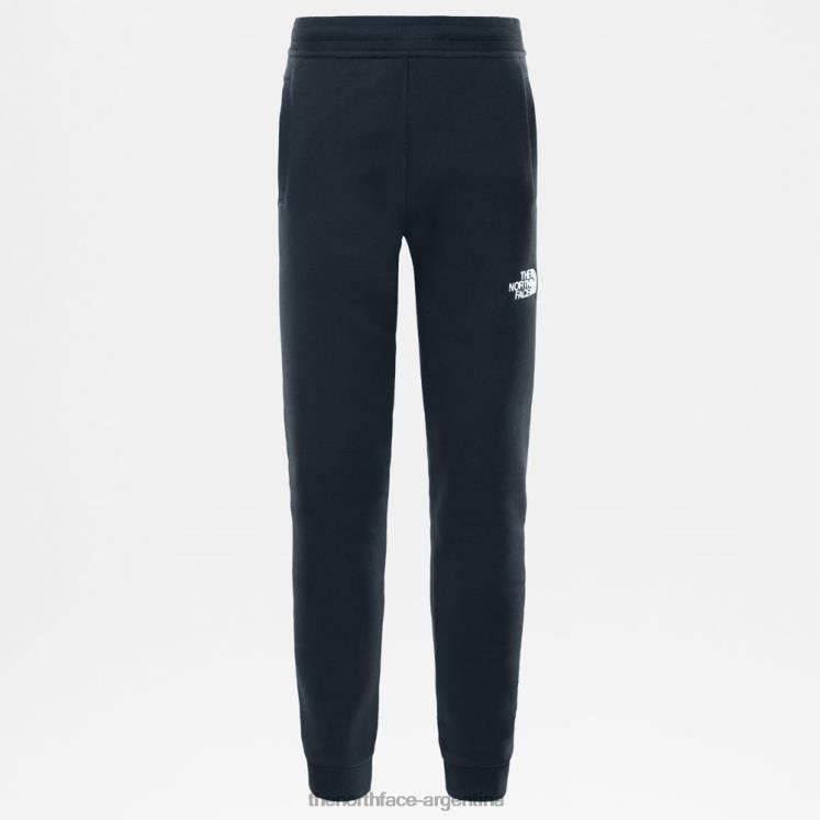 pantalones polares juveniles RDT8H2296 cumbre marina The North Face