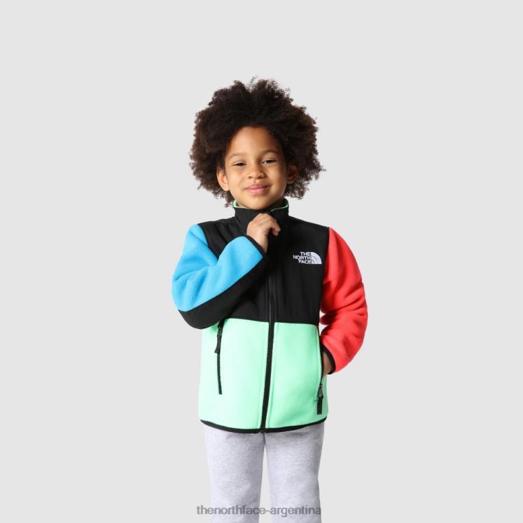 chaqueta denali para niños RDT8H1671 verde clorofila The North Face