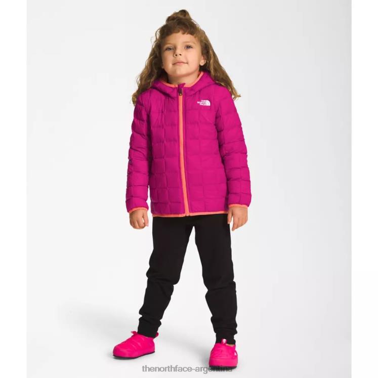 chaqueta termoball con capucha para niños RDT8H6009 rosa fucsia The North Face
