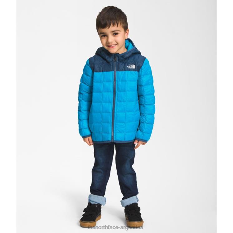 chaqueta termoball con capucha para niños RDT8H6013 azul The North Face