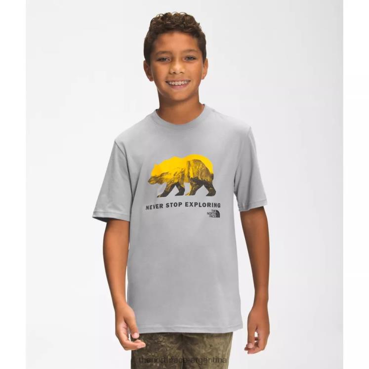 camiseta gráfica de manga corta para niño RDT8H4294 gris The North Face