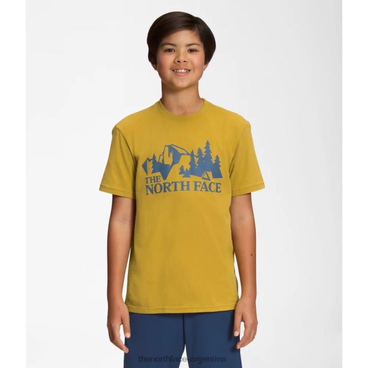 camiseta gráfica de manga corta para niño RDT8H5954 oro mineral The North Face