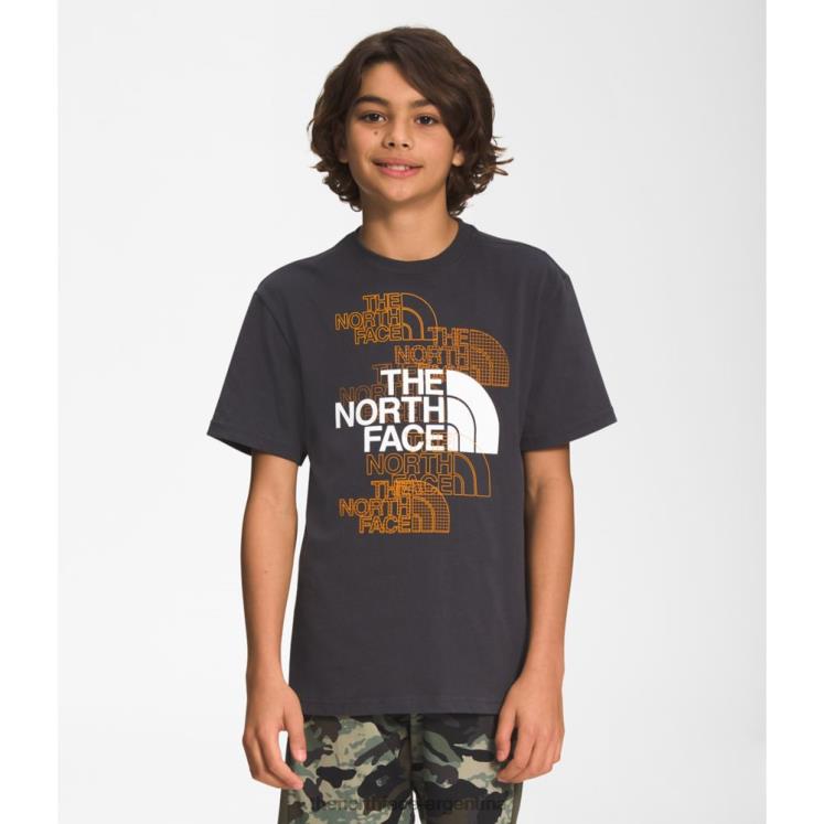 camiseta gráfica de manga corta para niño RDT8H5955 gris The North Face