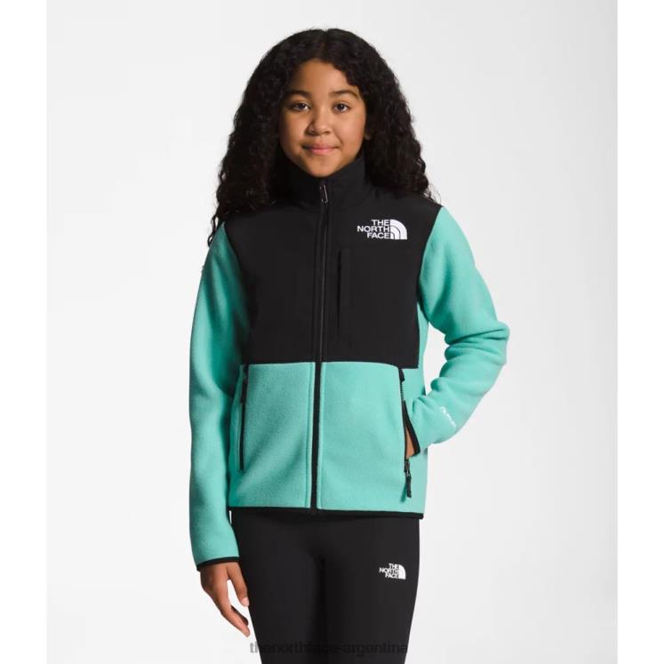 chaqueta denali adolescente RDT8H5351 wasabi The North Face