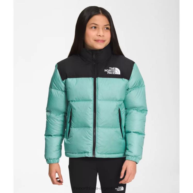 chaqueta nuptse retro adolescente 1996 RDT8H6016 wasabi The North Face